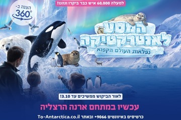 המסע לאנטרקטיקה - נפלאות העולם הקפוא (09:00)