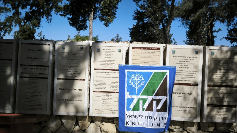 По следам поездки и для тех, кто не участвовал в сборе, но хочет внести свой вклад в озеленение наше