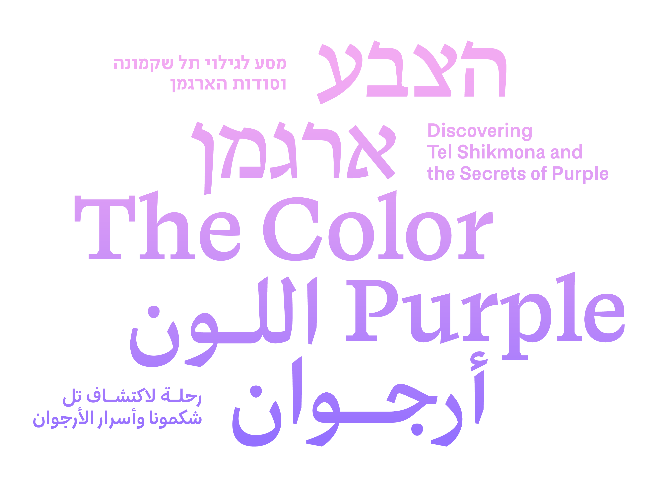 סודות הארגמן ותכלת דומה לים