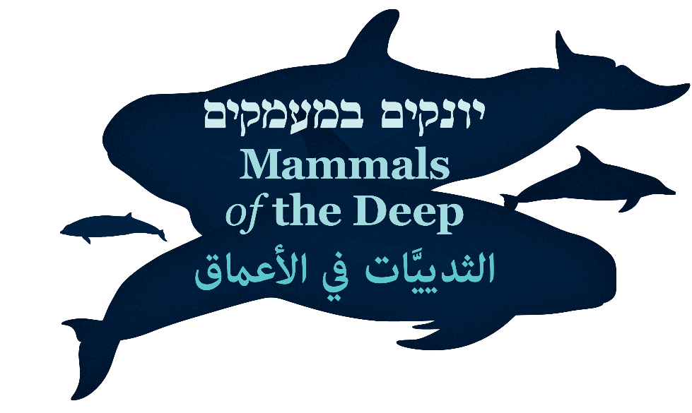 מסע אל זיכרונות הסבתא